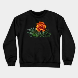 One Orange Marigold with Yellow Tips Crewneck Sweatshirt